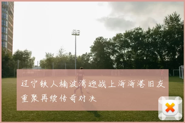 辽宁铁人楠波湾迎战上海海港旧友重聚再续传奇对决
