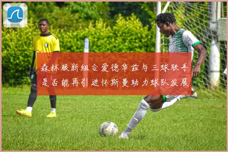 森林狼新组合爱德华兹与三球联手是否能再引进怀斯曼助力球队发展