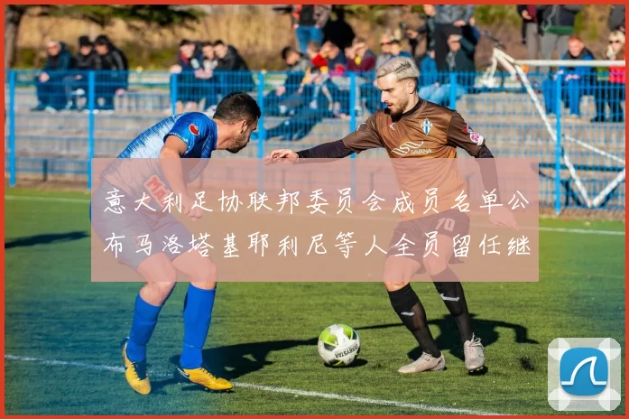 意大利足协联邦委员会成员名单公布马洛塔基耶利尼等人全员留任继续服务